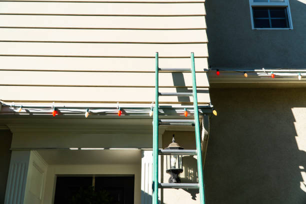 Best Custom Siding Design  in USA